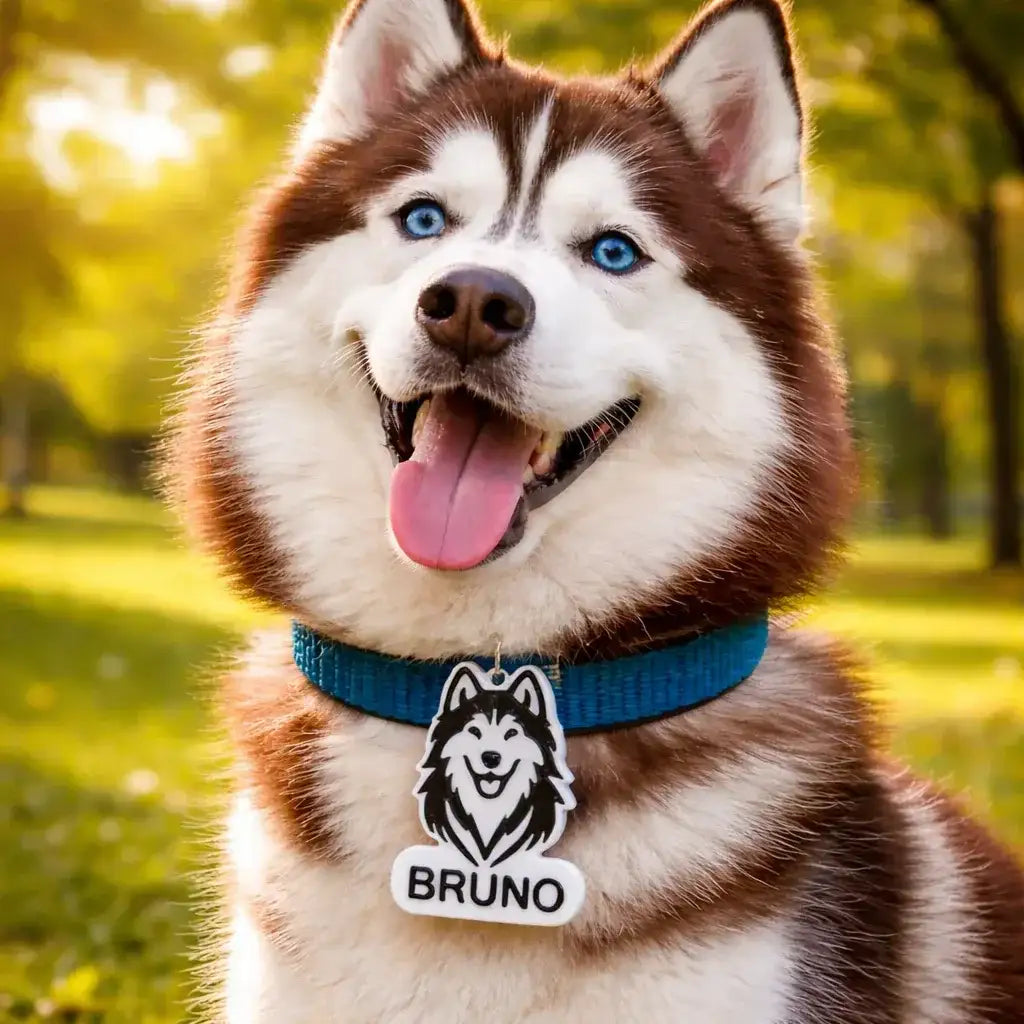 Clawmego NFC Taggo Custom Husky dog pet-ID tag