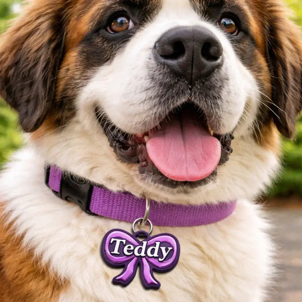 Clawmego NFC Taggo Resin pro_Bow_shaped_tag