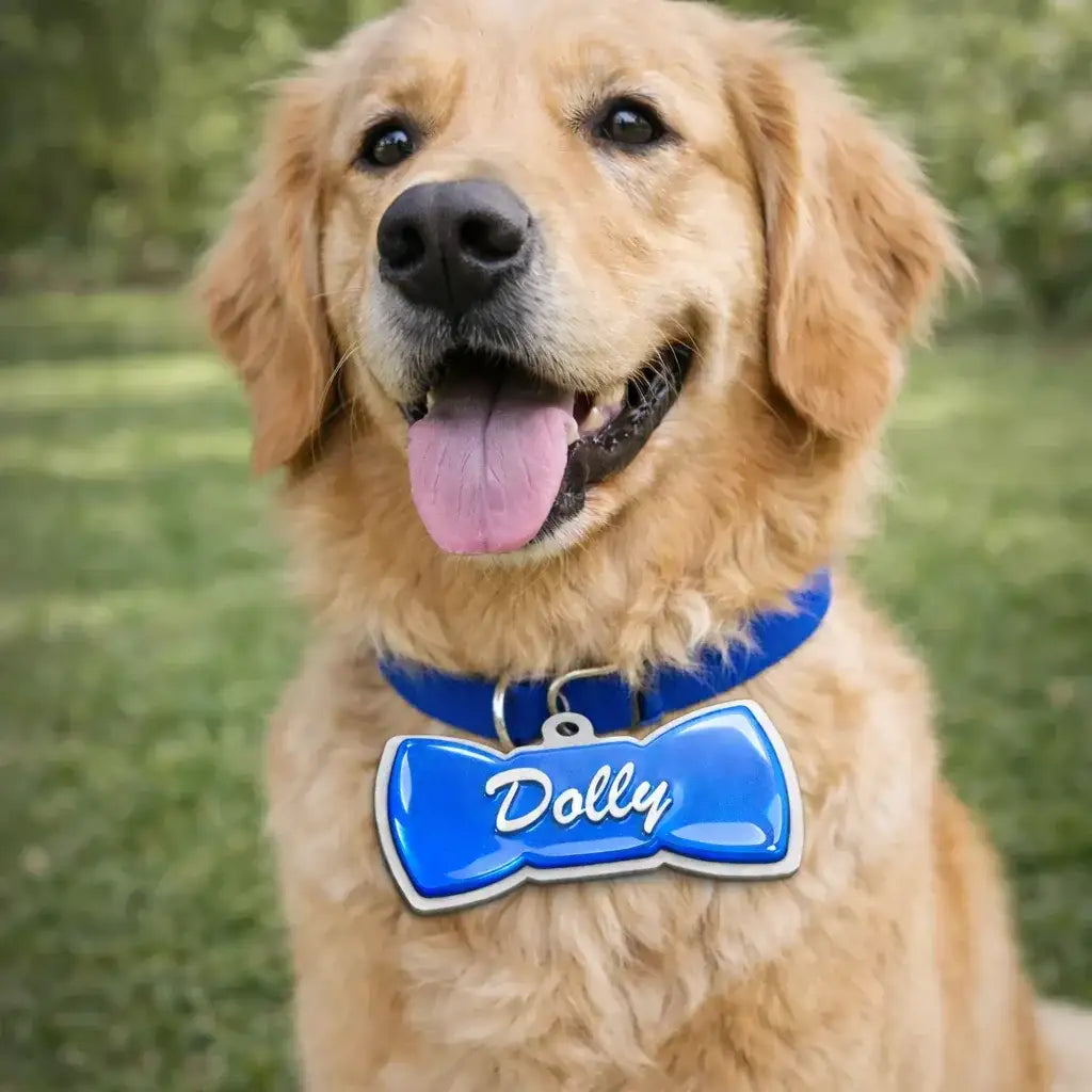 Clawmego NFC Taggo bow-tie tag