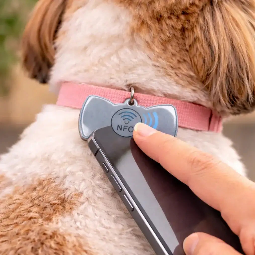 Clawmego NFC Taggo bow-tie tag