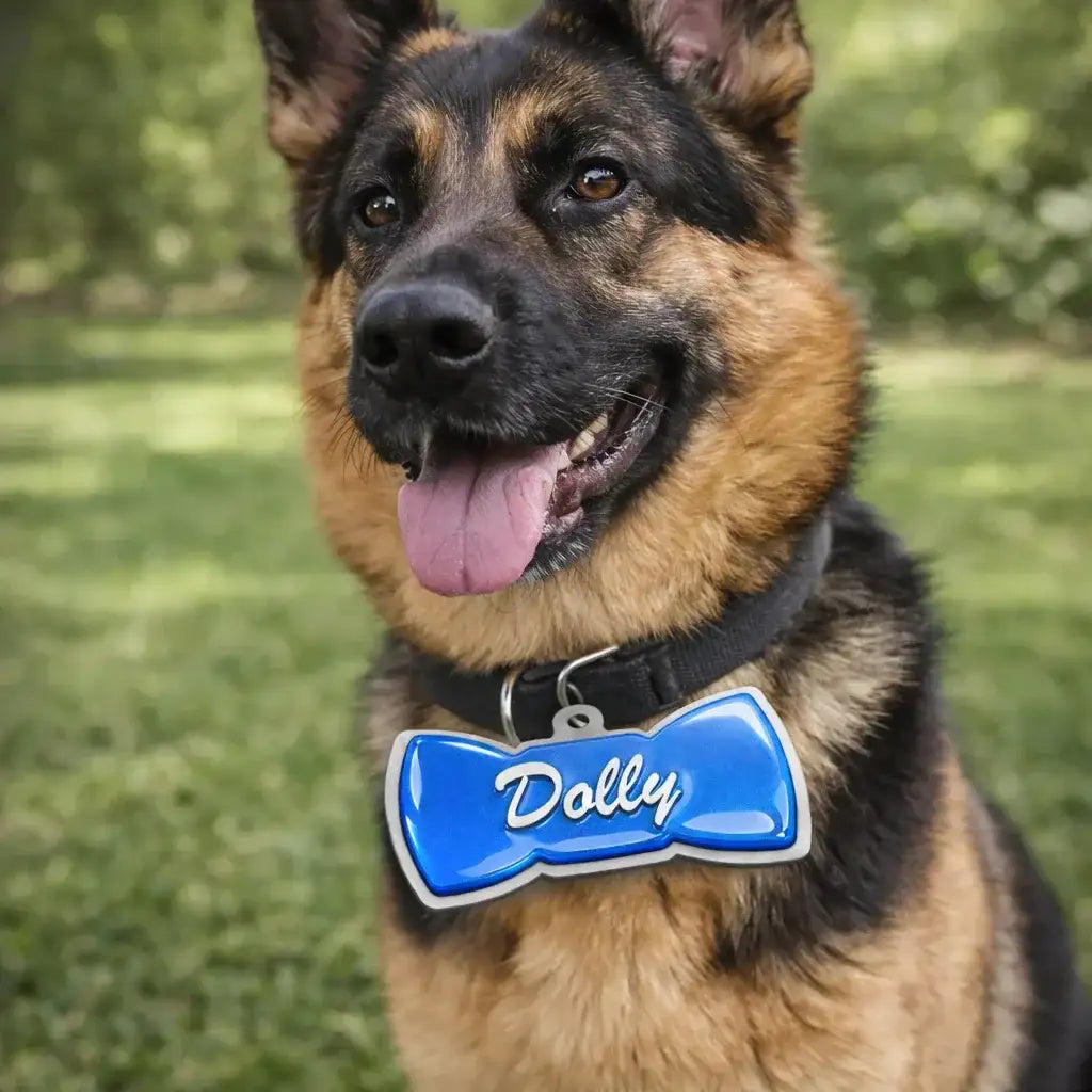 Clawmego NFC Taggo bow-tie tag