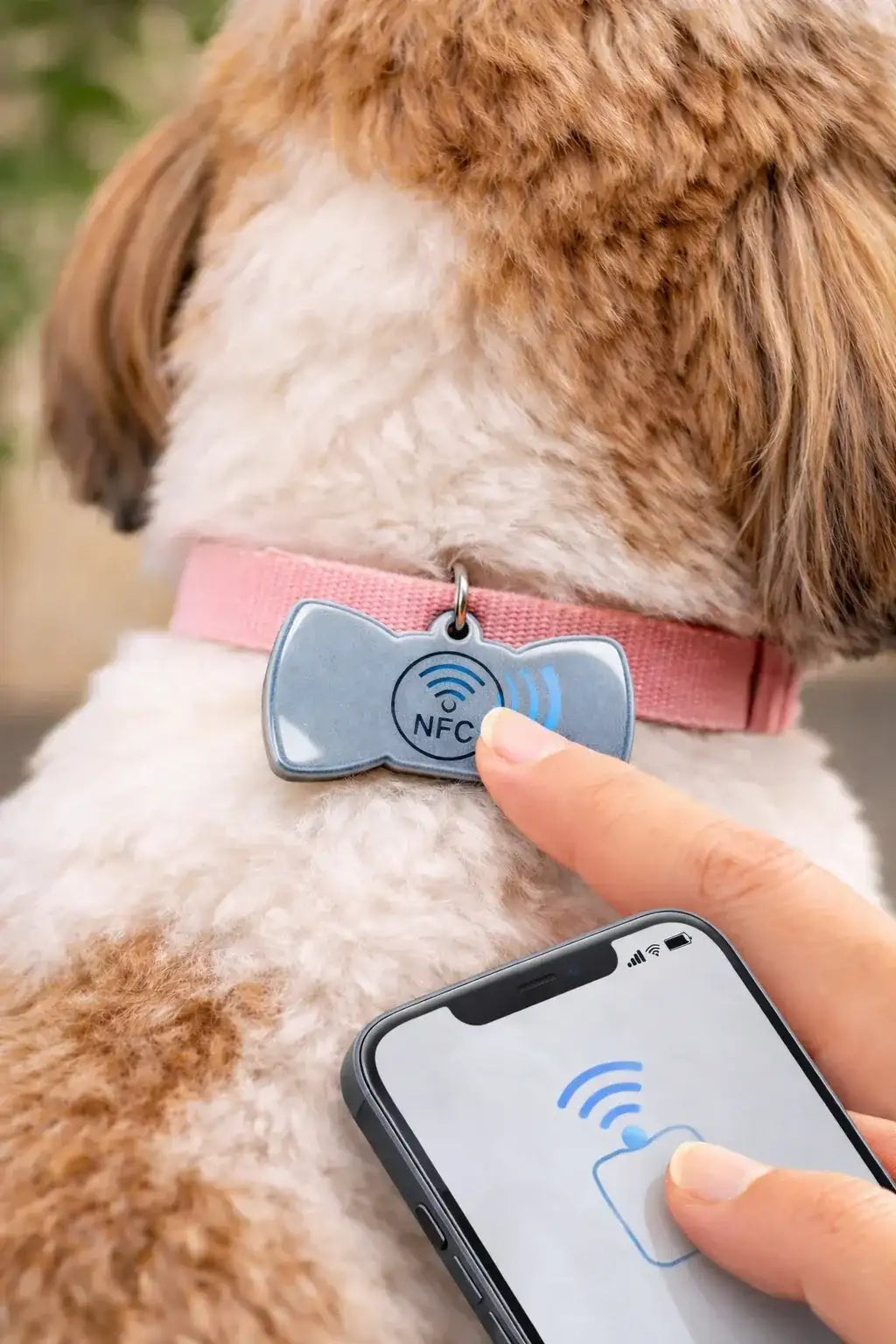 Clawmego NFC Taggo bow-tie tag