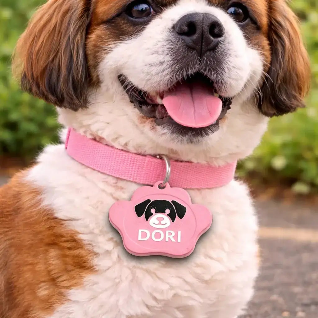 Clawmego NFC Taggo classic_Paw_print_tag