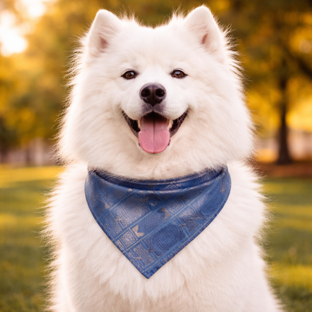 Clawmego Premium Pet Bandana for Dogs_Geometric Accents in Modern Blue