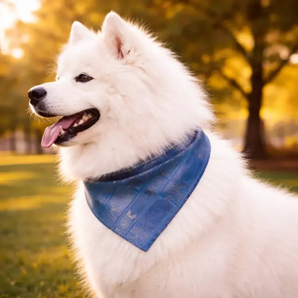 Clawmego Premium Pet Bandana for Dogs_Geometric Accents in Modern Blue