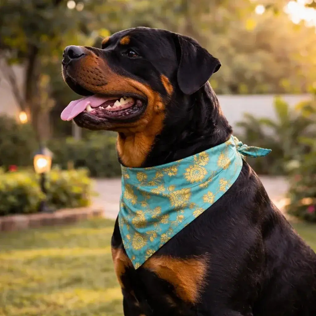 Clawmego Premium Pet Bandana for Dogs_Gold Floral Accents in Baby Blue
