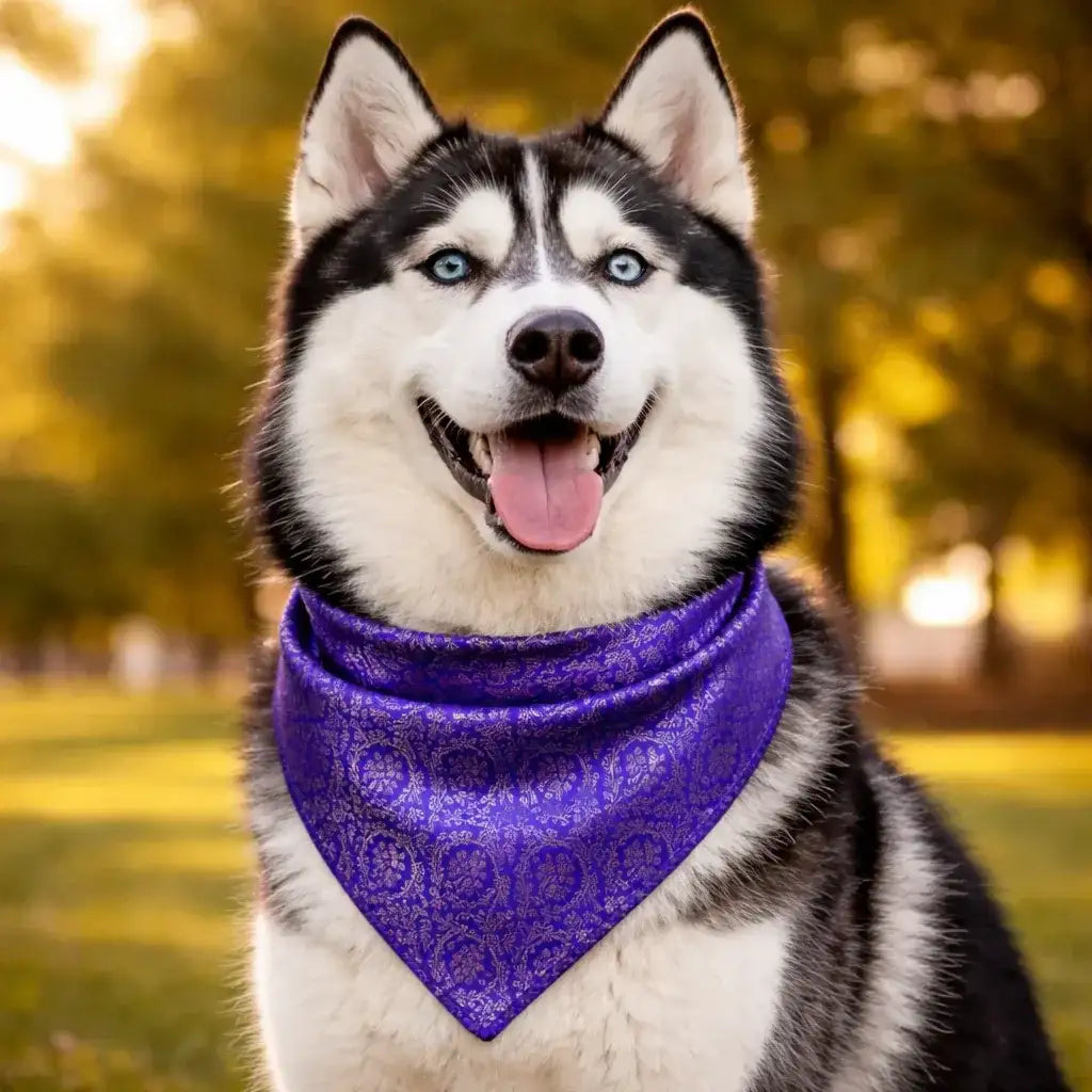 Clawmego Premium Pet Bandana for Dogs_Gold Floral Accents with Purple