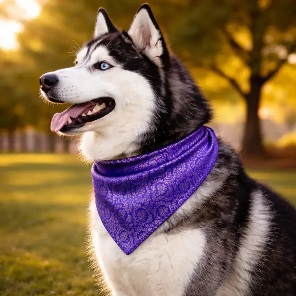 Clawmego Premium Pet Bandana for Dogs_Gold Floral Accents with Purple