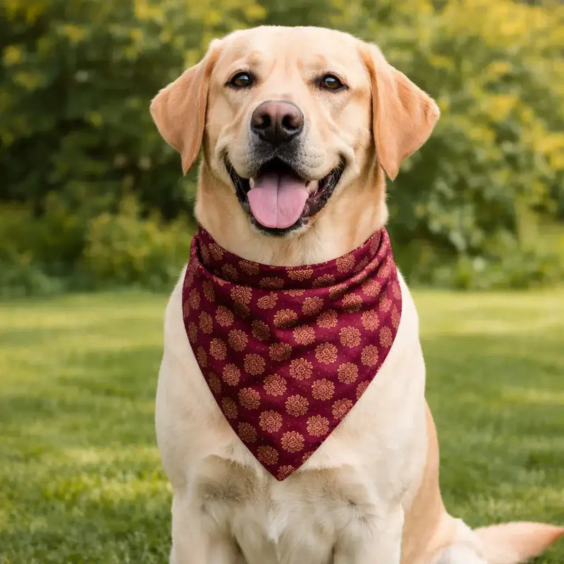 Clawmego Premium Pet Bandana for Dogs_Maroon with Gold Accents