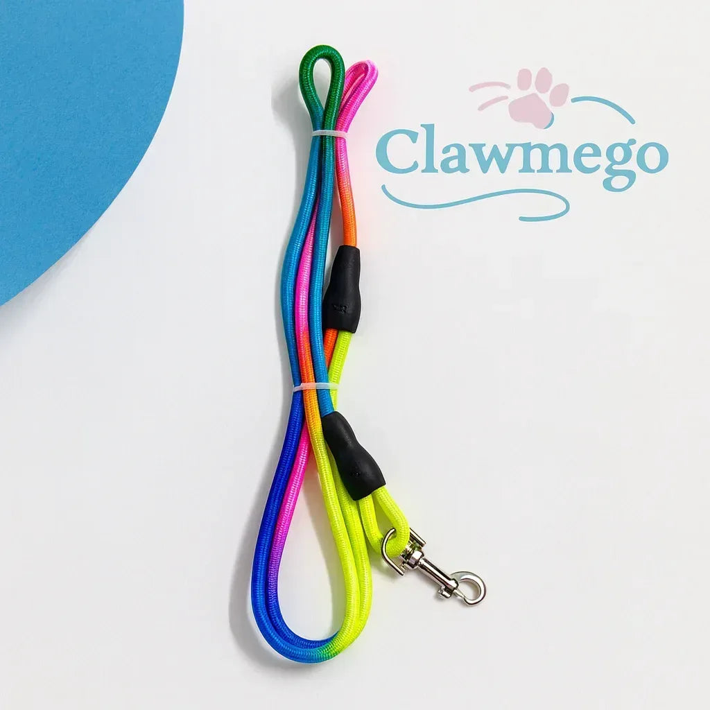 Puppy Rainbow Leash – Adjustable, Comfort Fit Pet Leash - Clawmego