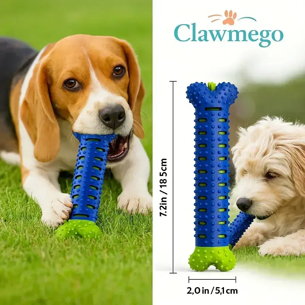 Spiked Bone Chew Stick – Durable Dog Toy for Dental Health & Strong Teeth - Clawmego