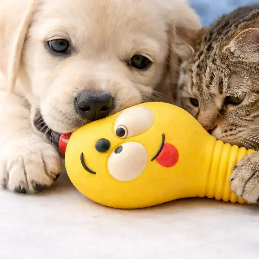 Clawmego Squeaky Bulb Dog Toy – Fun Interactive Play