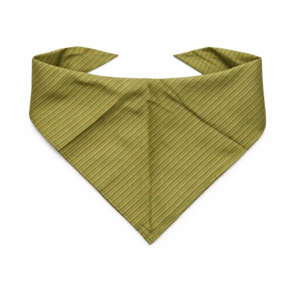 Clawmego Stylish Bandana for Dogs_Classic_Mustard Green