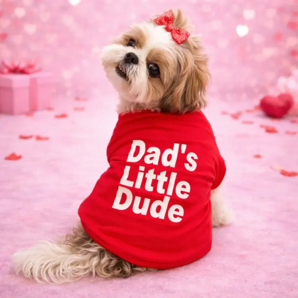 Dad’s Little Dude Red Pet Sweat-Shirt | Cute Matching Dog & Cat Tee - Clawmego