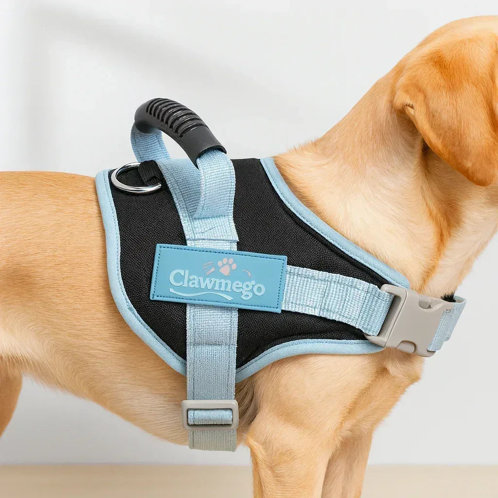 Daily Walk Adjustable Dog Harness – Comfort Fit by Clawmego - Clawmego