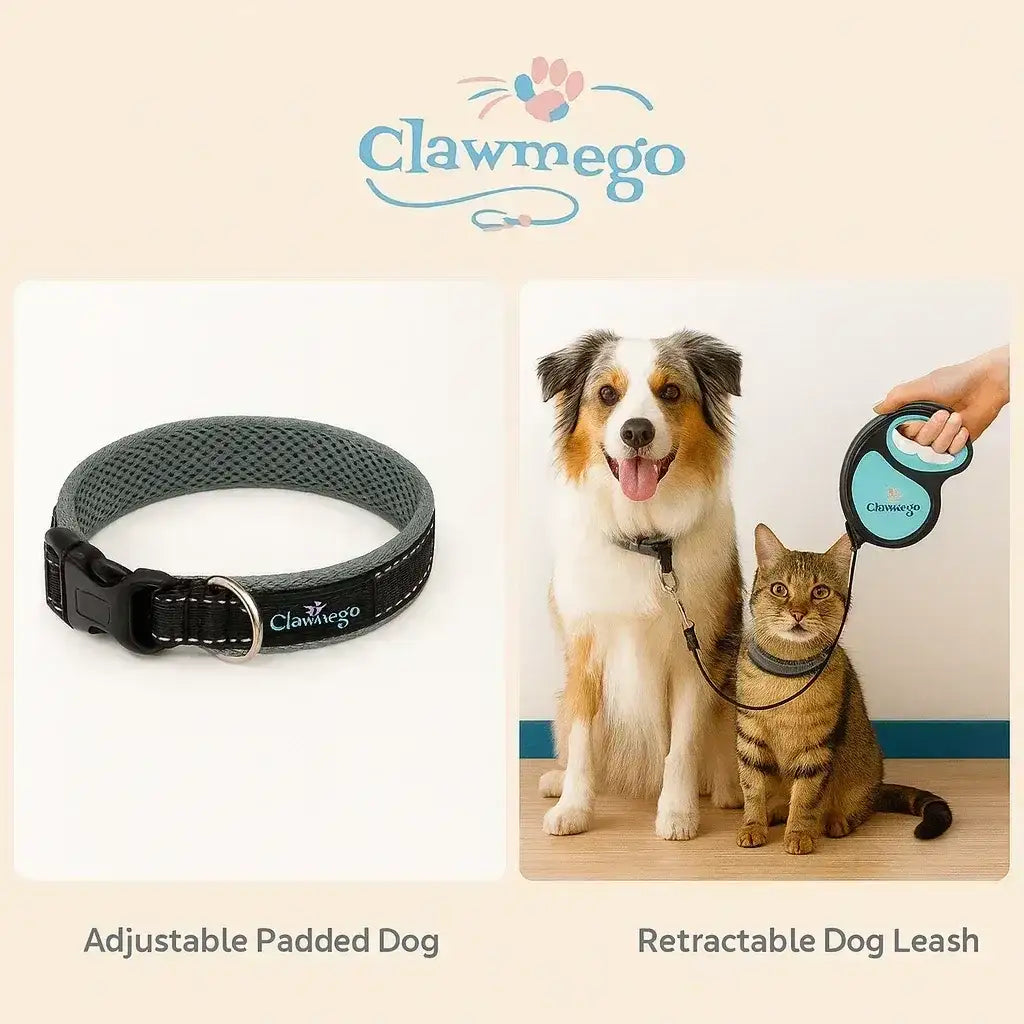 Daily Walk Starter Kit – Adjustable Dog Collar & Retractable Pet Leash - Clawmego