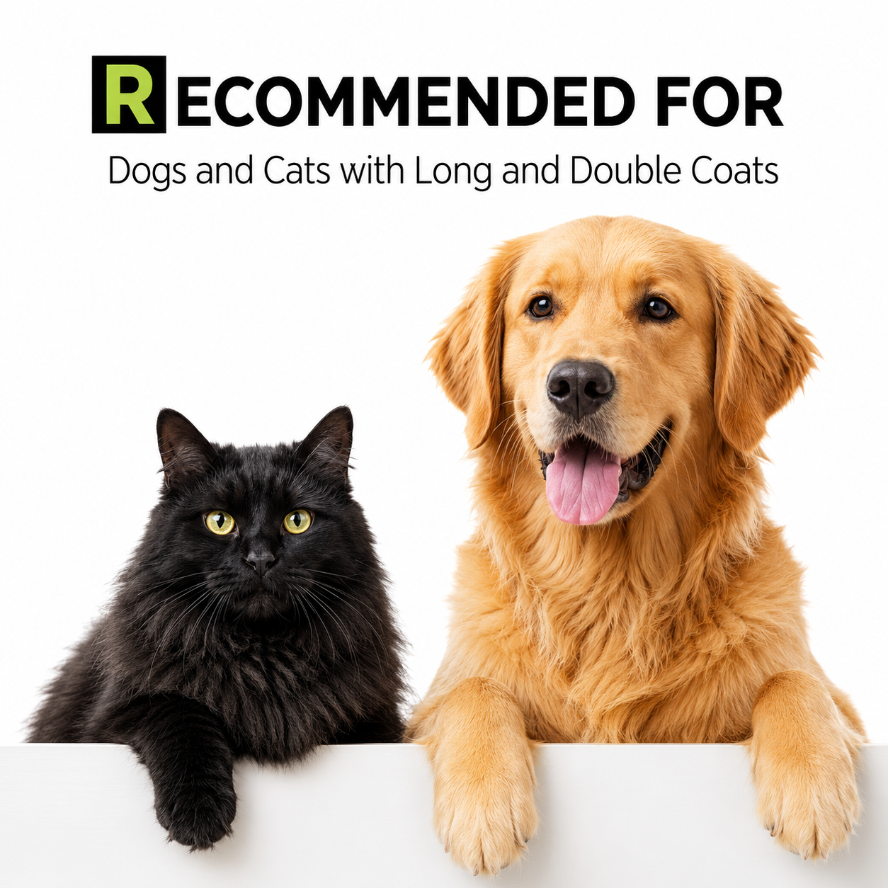 Moe Puppy 2-in-1 Shampoo & Conditioner for Dogs & Cats 900ml