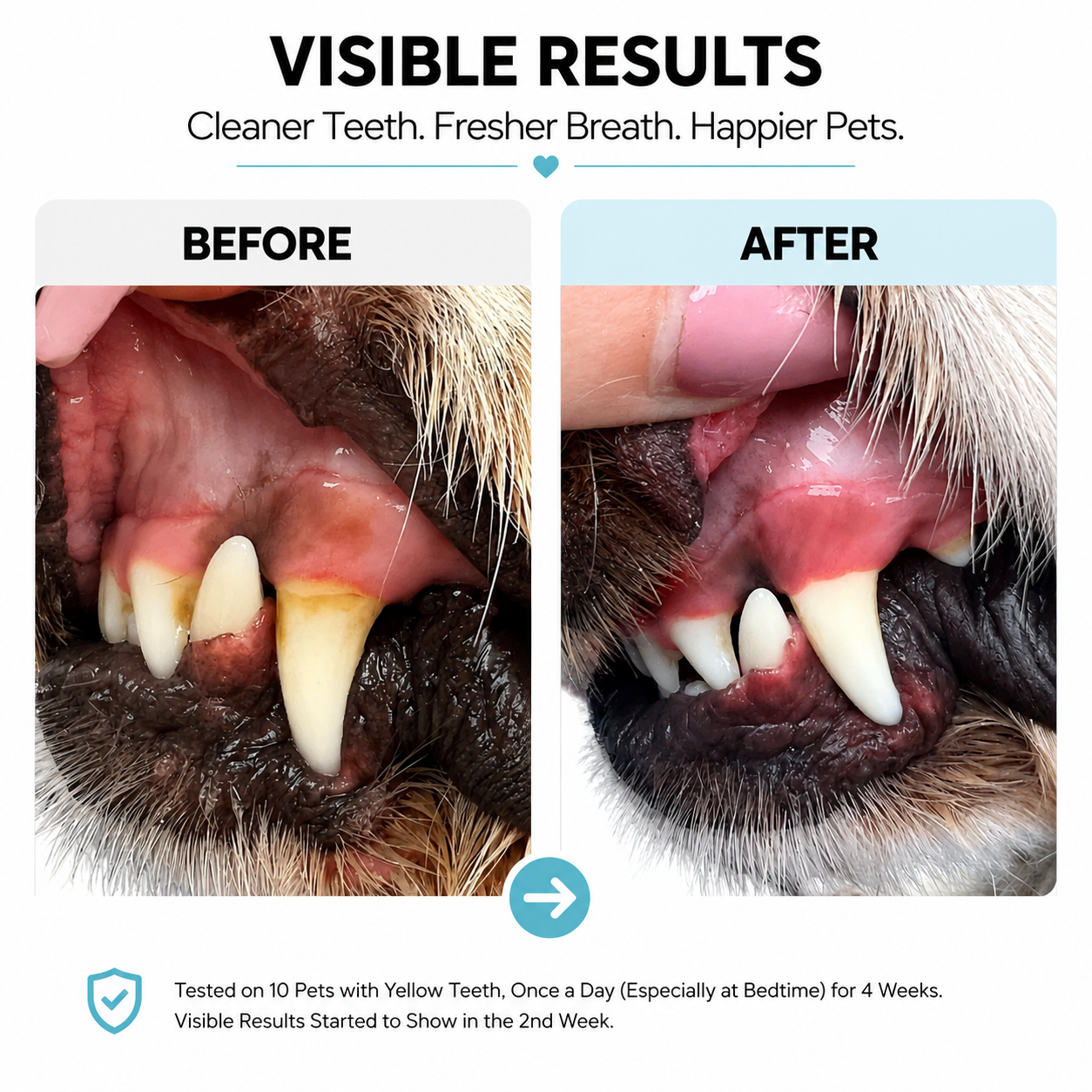 Moe Puppy Dental Spray for Dogs & Cats – Fresh Breath & Oral Care