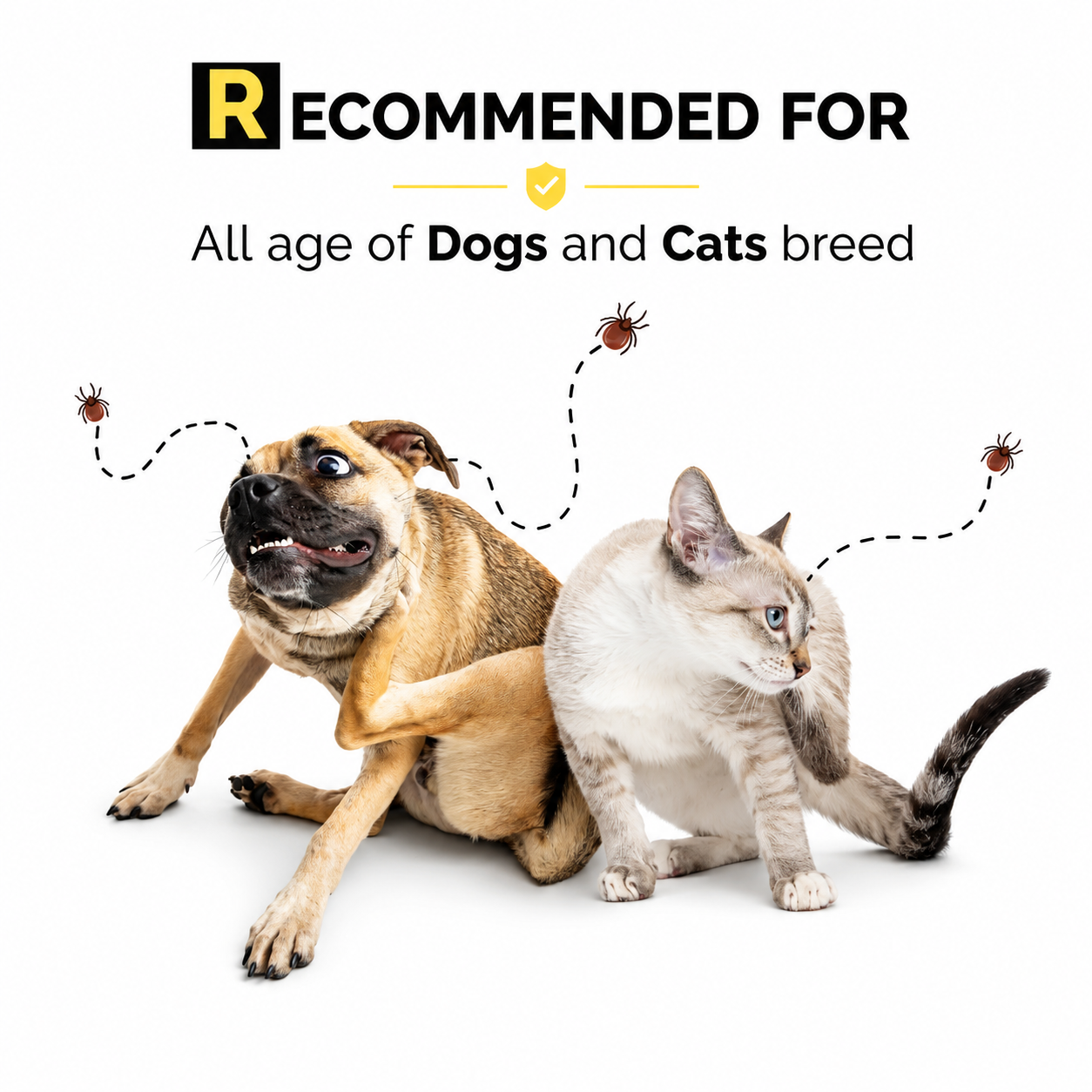 Moe Puppy Natural Anti-Tick Spray for Dogs & Cats – Flea Protection
