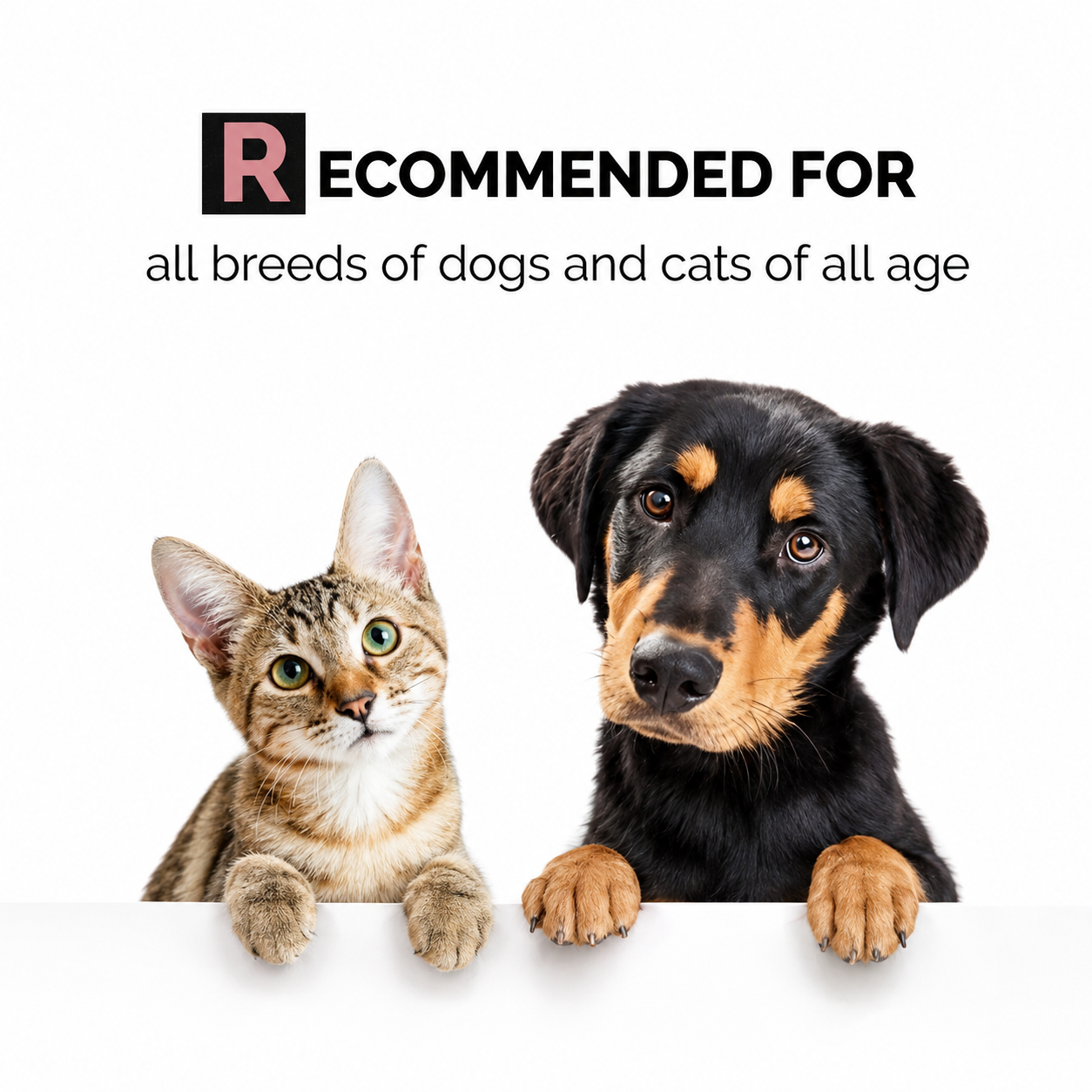 Moe Puppy Natural Pet Deodorizer Spray for Dogs & Cats – Odour Control