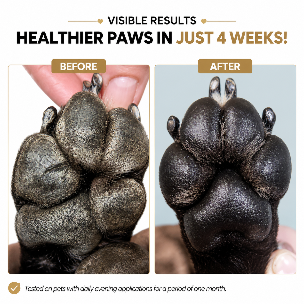 Moe Puppy Paw Balm for Dogs & Cats – Natural Paw Moisturizer