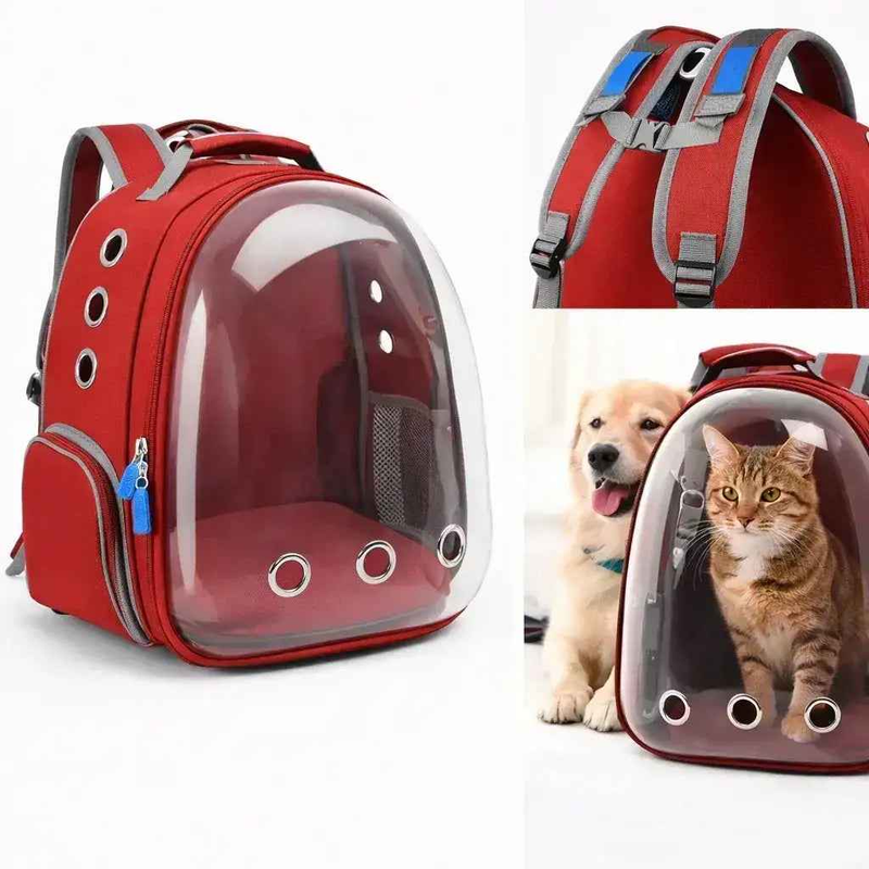Premium Cat Travel Bag with Ventilation – Comfort Fit Sale