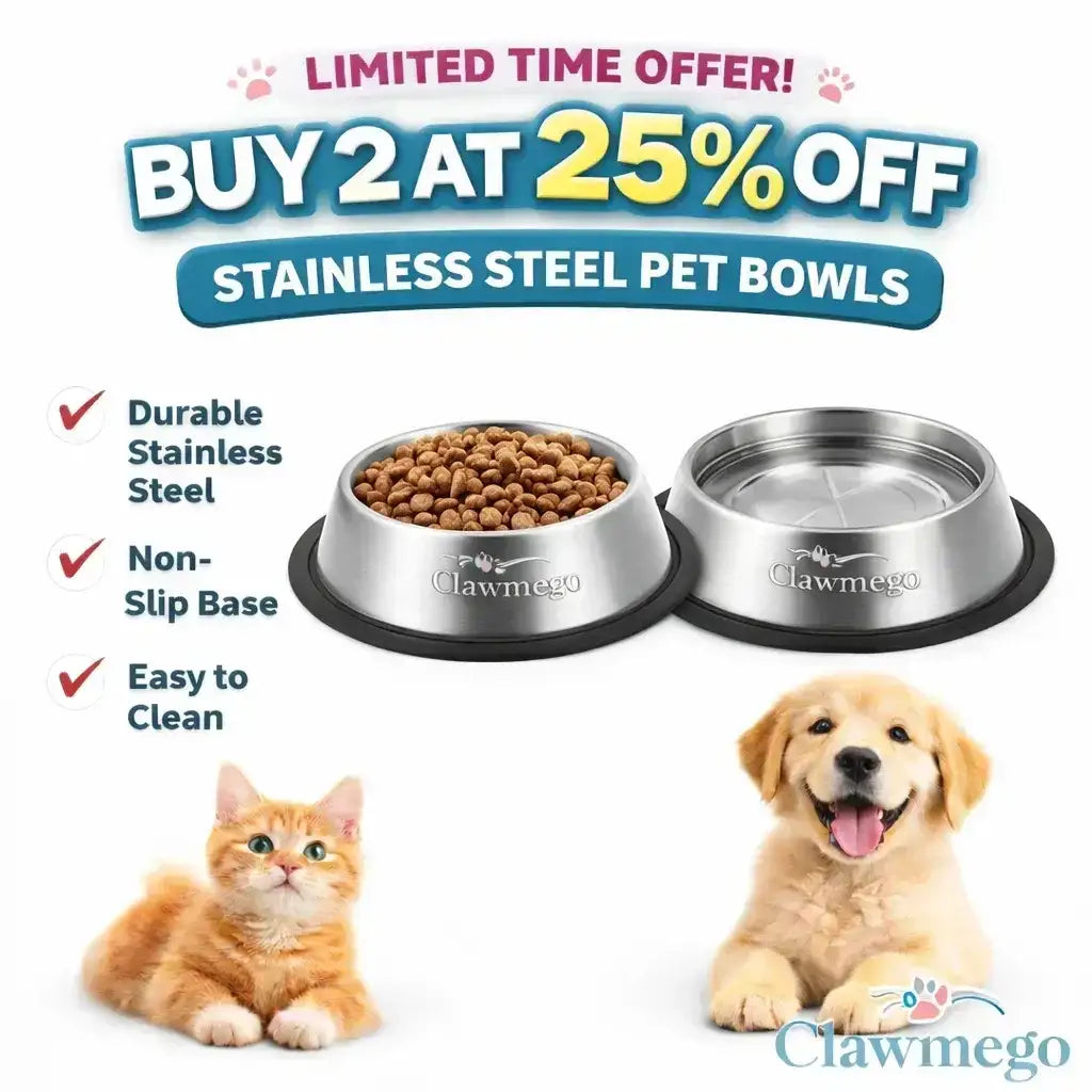 Premium Stainless Steel Dog Bowl – Non-Slip, Durable & Easy to Clean Sale - Clawmego