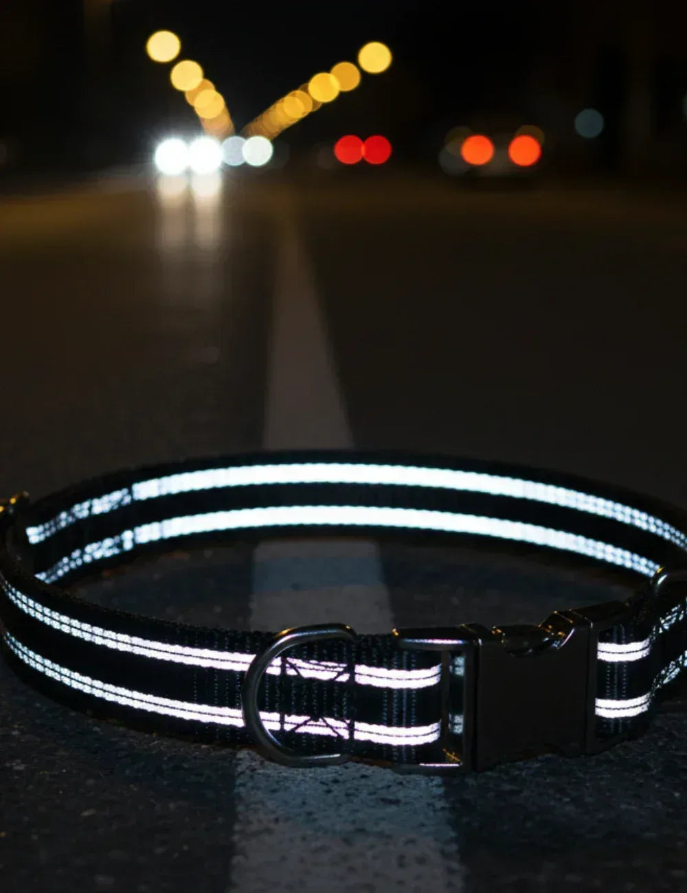 Reflective Adjustable Dog Collar – Durable, Comfort Fit | Clawmego - Clawmego