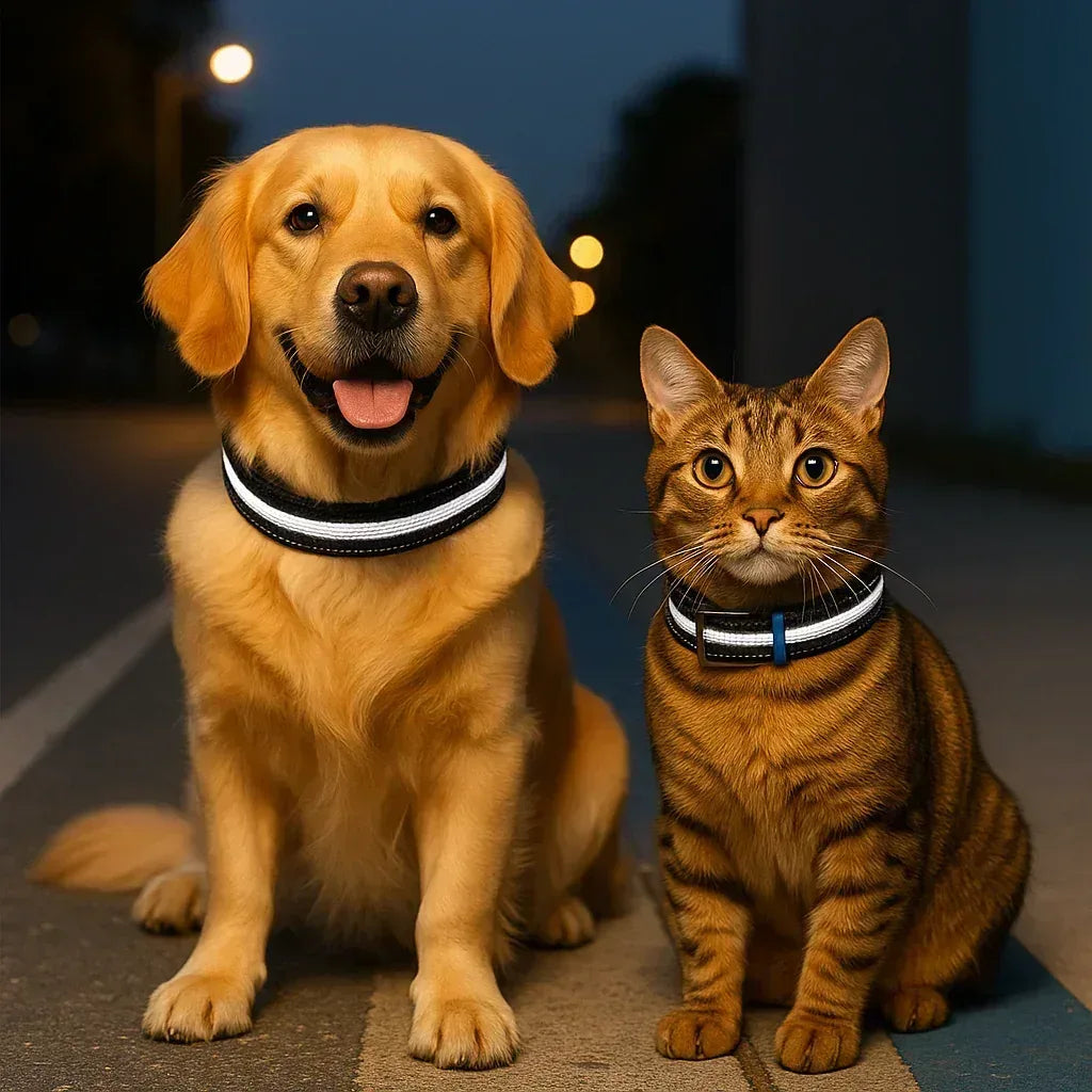 Reflective Adjustable Dog Collar – Durable, Comfort Fit | Clawmego - Clawmego