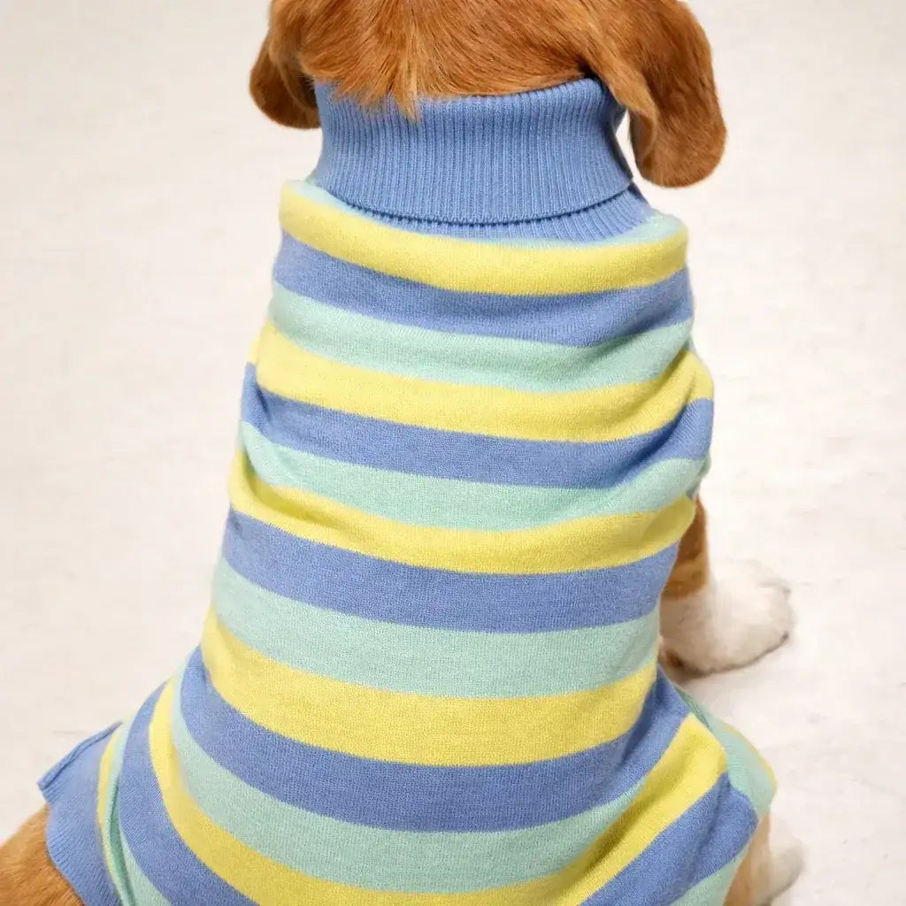 Clawmego Striped Knit Turtleneck Pet Sweater – Winter Warm - Clawmego