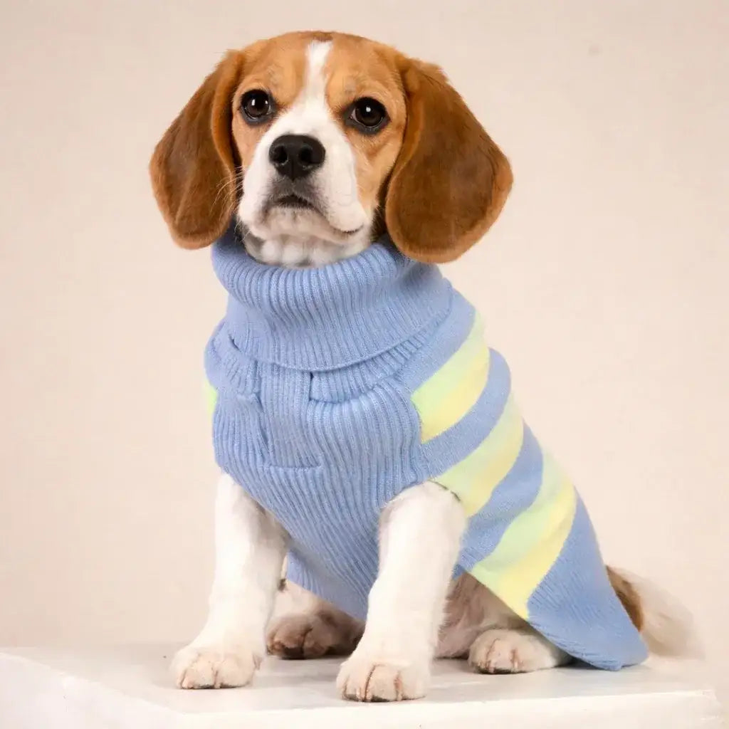 Clawmego Striped Knit Turtleneck Pet Sweater – Winter Warm - Clawmego