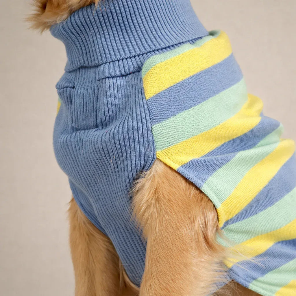 Clawmego Striped Knit Turtleneck Pet Sweater – Winter Warm - Clawmego
