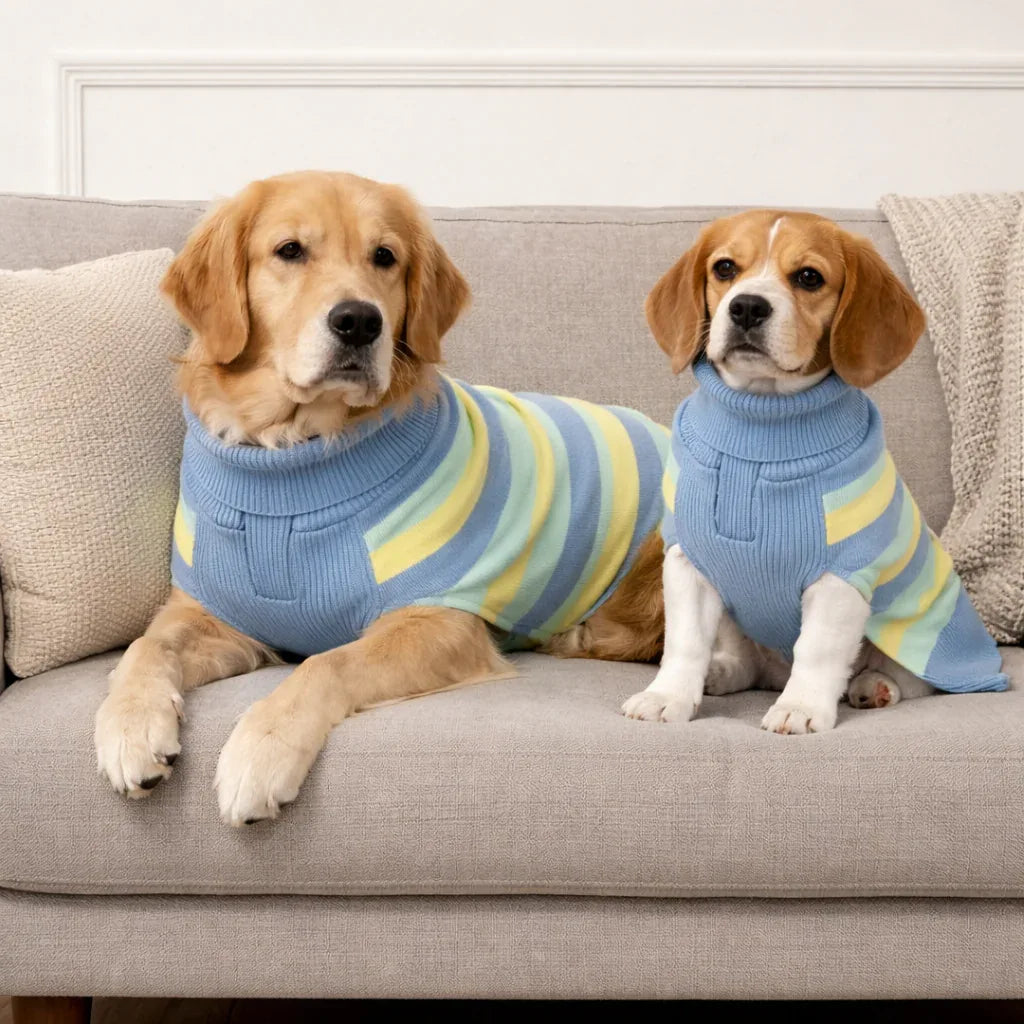Clawmego Striped Knit Turtleneck Pet Sweater – Winter Warm - Clawmego