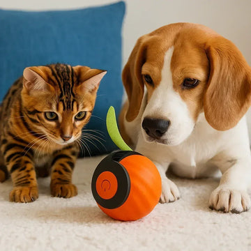Tail Magic Rolling Ball – Interactive Smart Pet Toy, Auto-Rolling & Durable | Clawmego - Clawmego
