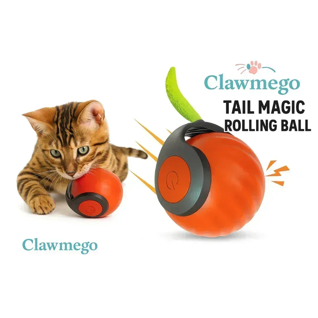Tail Magic Rolling Ball – Interactive Smart Pet Toy, Auto-Rolling & Durable | Clawmego - Clawmego