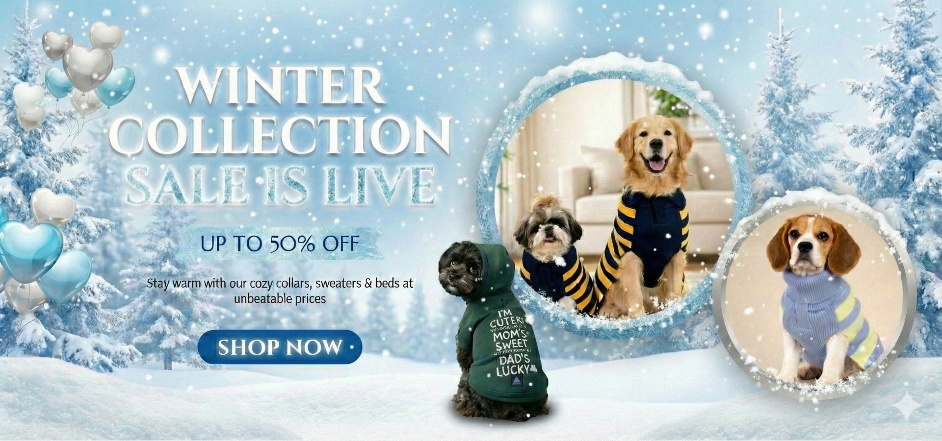 slider image slider_item_b8RQ4r