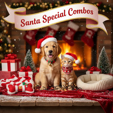 generate a image for santa special combos for pet accessories with 1080 X 1080 px